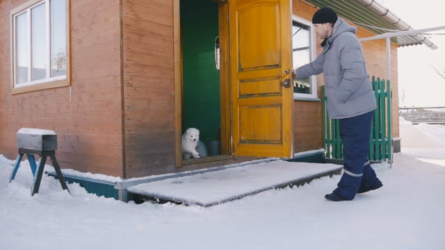 Man Opened The Door And Called Puppies