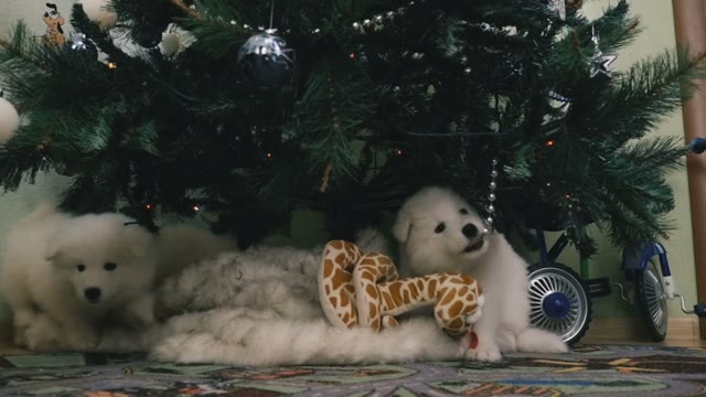 Two Puppy Gnaw Christmas Toy