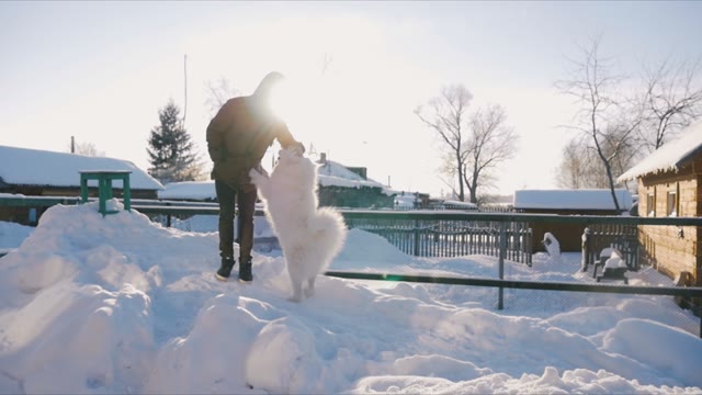 Man Stroking A White Dog In The Outdoor