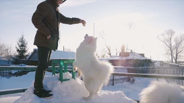 Man Playing With A Dog In The Snow