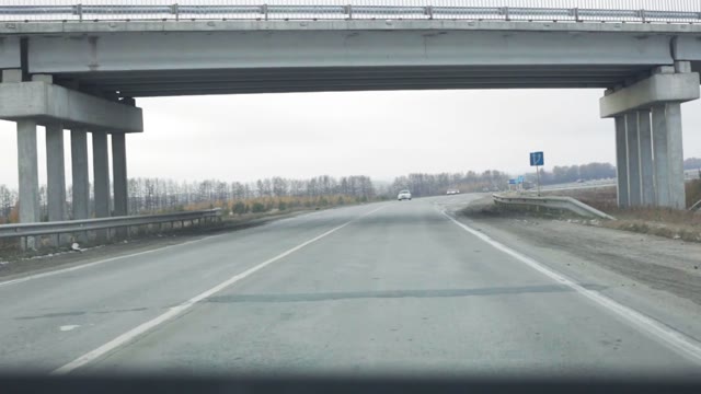 View From The Car On The Highway And The Forest