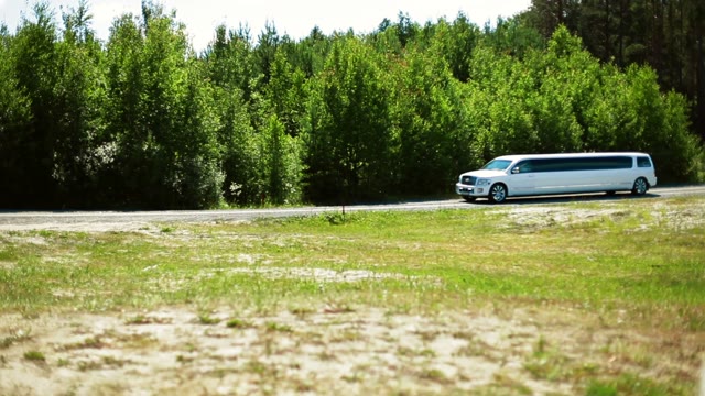 Limousine Near Trees