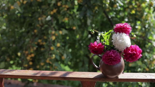 Flowers In A Jug Outdoors