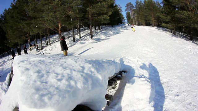 Snowboarding In Forestry Mountain