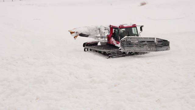 Snowcat With Large Caterpillars Removes Snow