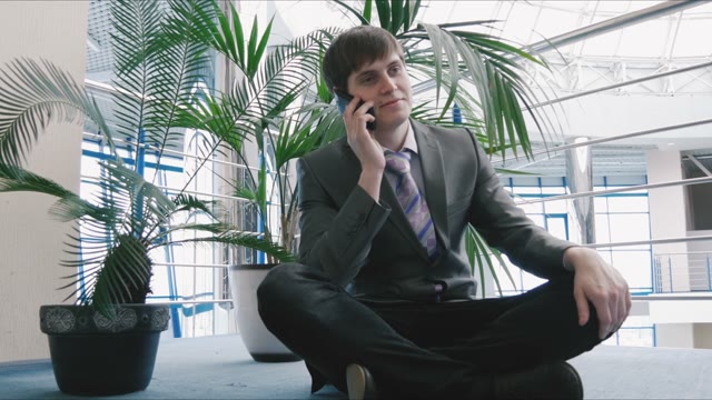 Businessman Talking On The Phone In A Business Center