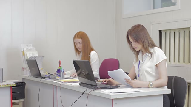 Office Workers Make Out Documents On A Computer