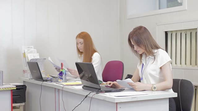 Office Workers Make Out Documents On A Computer