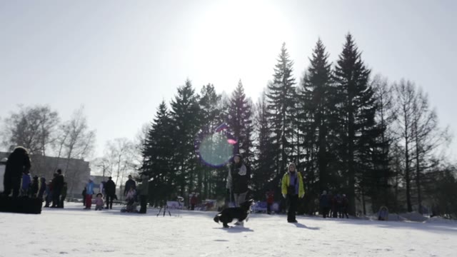 Competition In Sled Dog Racing And Skijoring