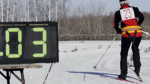 Competition In Sled Dog Racing And Skijoring