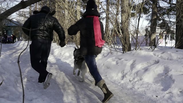 Children Competition Running With Their Dogs In Winter