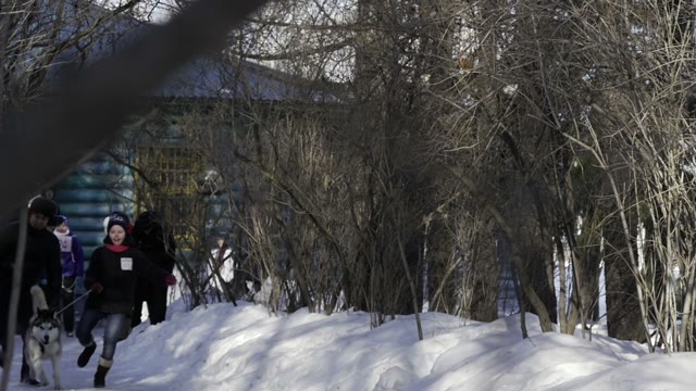 Children Competition Running With Their Dogs In Winter