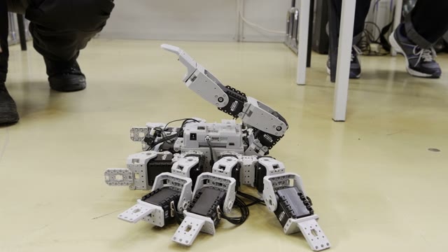Demonstration Of A Small Robot Resembling A Scorpion On A Robotics Festival