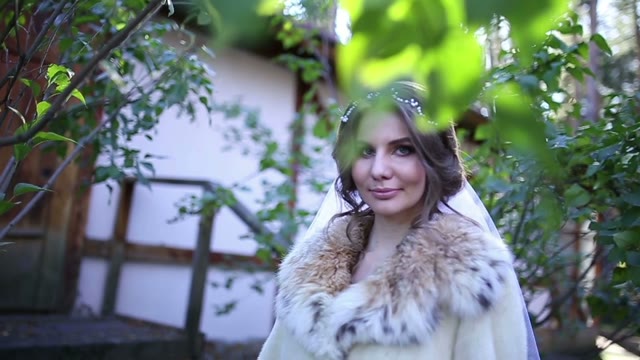 A Woman In A Fur Coat The Trees