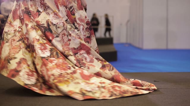 Model In A Long Dress