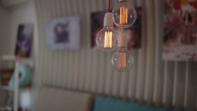 Light Bulbs Removed Close Up On A Background Of Paintings