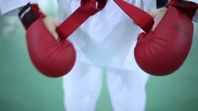 Young Karateka Ready For Battle