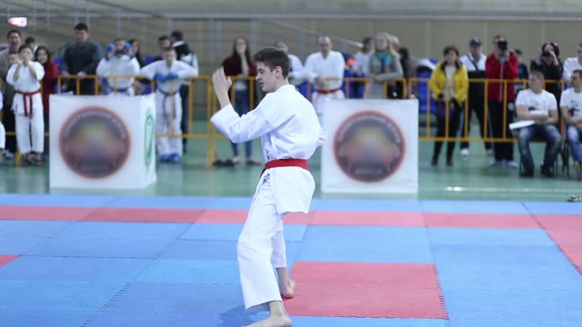 Young Karateka Shows His Skills