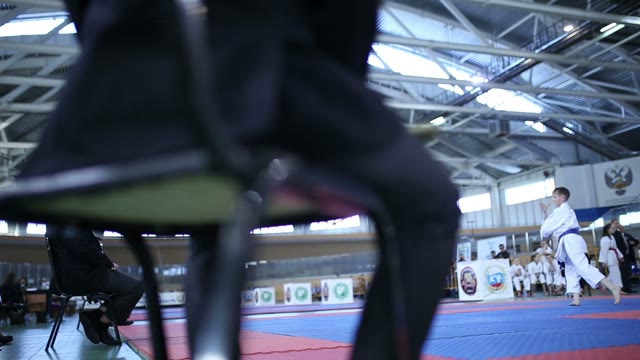 Referee Oversees The Performance Karate Fighter