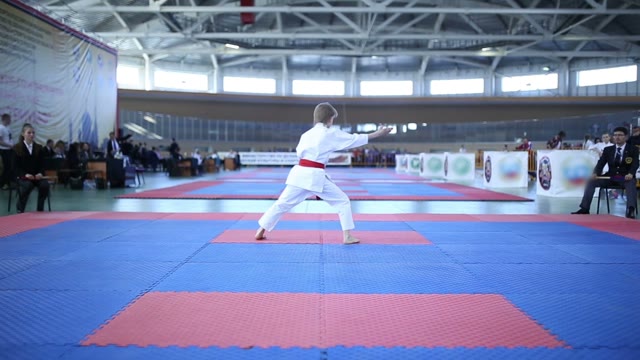 Young Karateka Shows His Skills