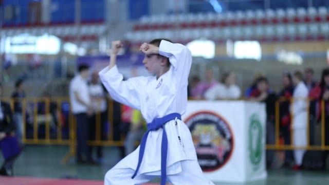 Young Karateka Shows His Skills