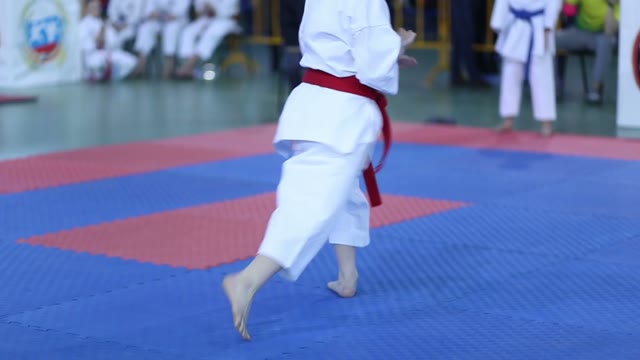 Young Karateka Shows His Skills