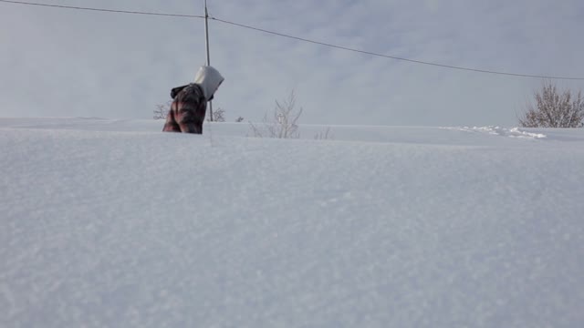 Snowboarder Goes On Hill