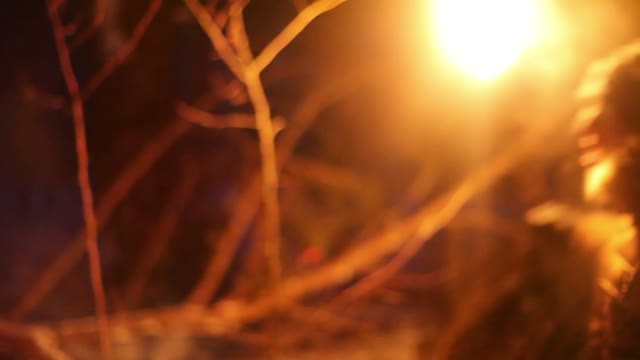 Scared Young Man Running With The Torch At Night In The Winter Forest