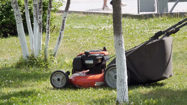 Worker In Uniform Mowing Grass With Lawn Mower