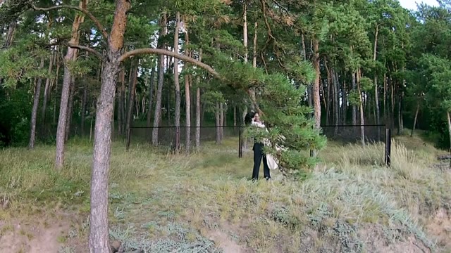 The Groom Holds His Bride In His Arms In The Coniferous Forest