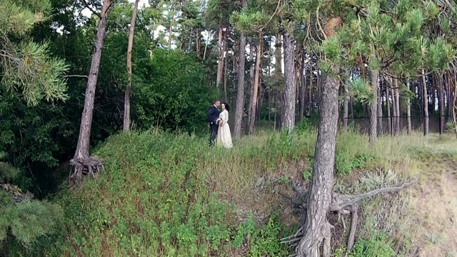 Newlyweds Posing In Coniferous Forest