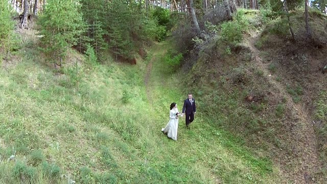 Newlyweds Walking Along The Big Forest