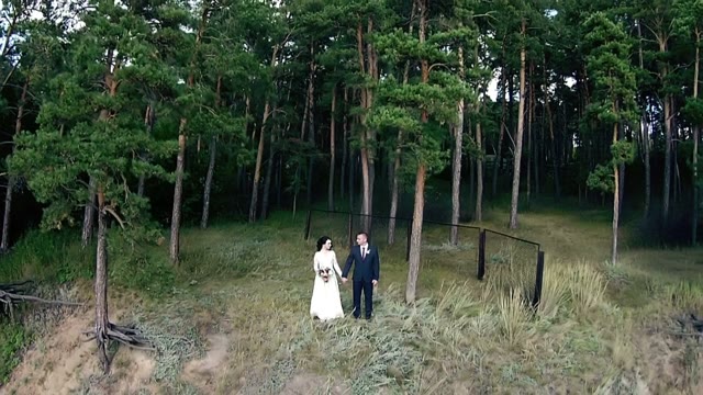 Newlyweds In A Big Beautiful Coniferous Forest