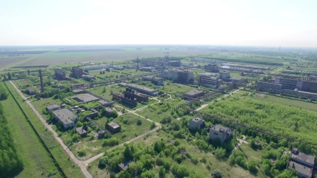 Panorama Of A Large Plant