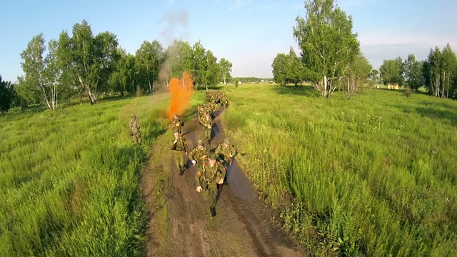 Military Exercises In The Woods