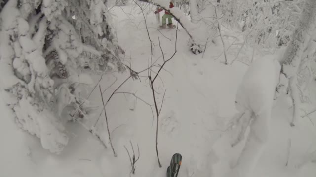 Young Skier Down The Slope