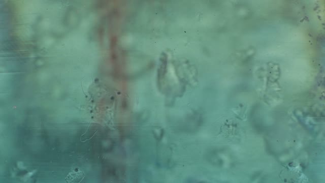Liquid Abstract Color Background