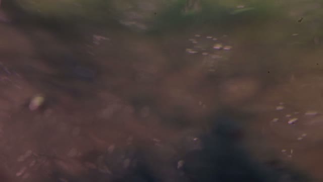 Liquid Abstract Color Background