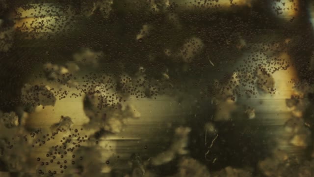 Liquid Abstract Color Background