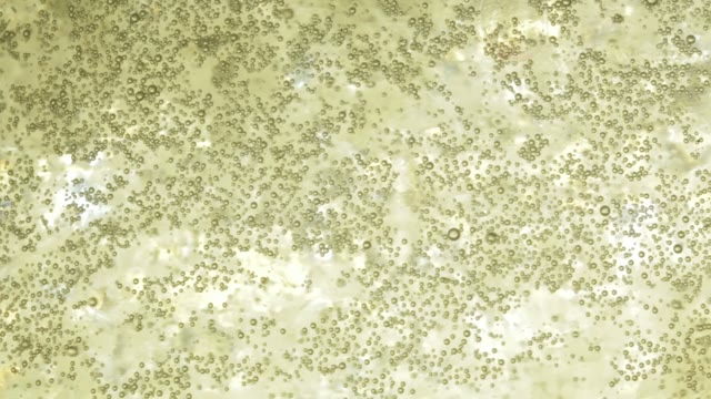 Liquid Abstract Color Background