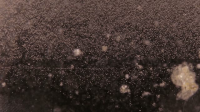 Liquid Abstract Color Background