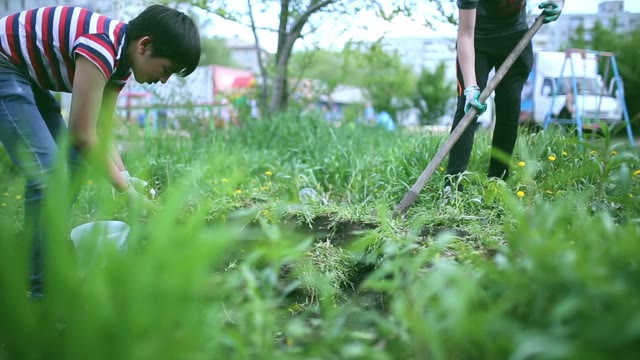 Young Children Are Digging The Beds Near The School