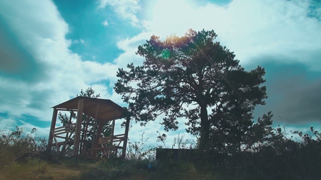 Outdoor Gazebo In The Park - Green Trees