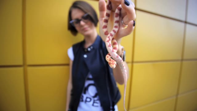 Attractive Young Woman Posing With A Snake On The Street