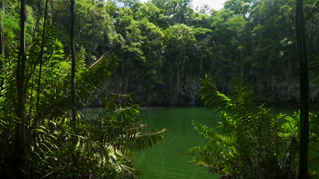 A Pond Surrounded By Large Green Trees And Rocks