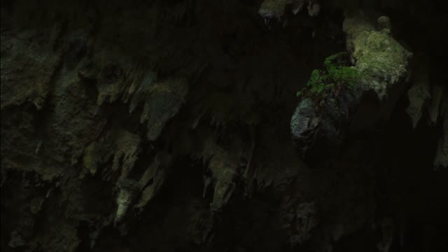 Sharp Rocks Inside Deep Caves