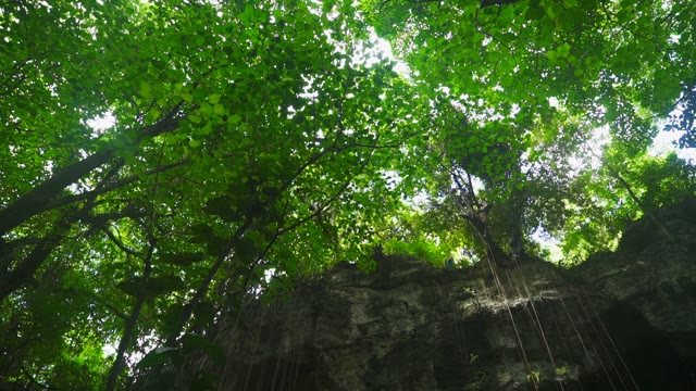 The Camera Is The Entrance To A Large Cave
