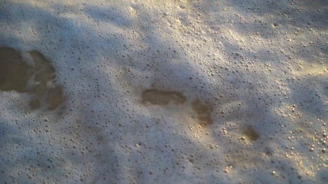 Sea Foam Washes Of Yellow Sand