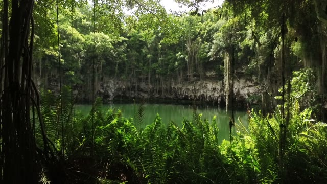 Drone Flies Out Cave