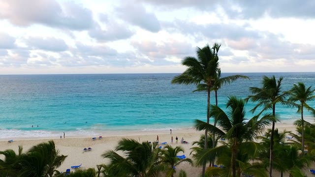 The Camera Shoots The Beach And Palm Trees